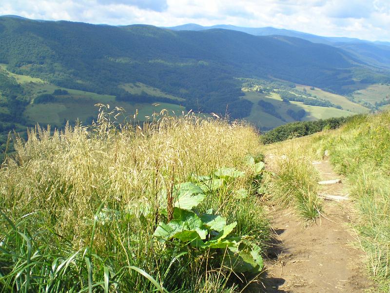 wakacje2008 108.jpg - Idziemy i podziwiamy